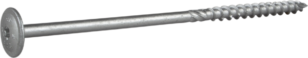 Sraigtas WAF 10x220 CS 20vnt