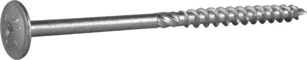 Sraigtas WAF 10x180 CS 25vnt