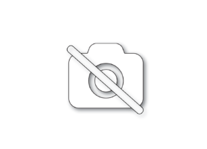 1545182.png ESSDRIVE 8x140 CS 50vnt
