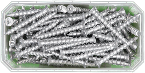 Sraigtai 8x65 CS 100vnt